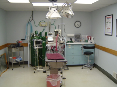 Surgery Suite